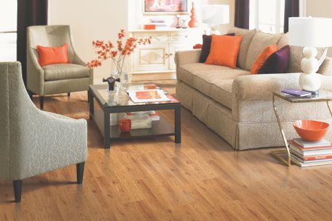 Image depicting the Service Laminate Flooring